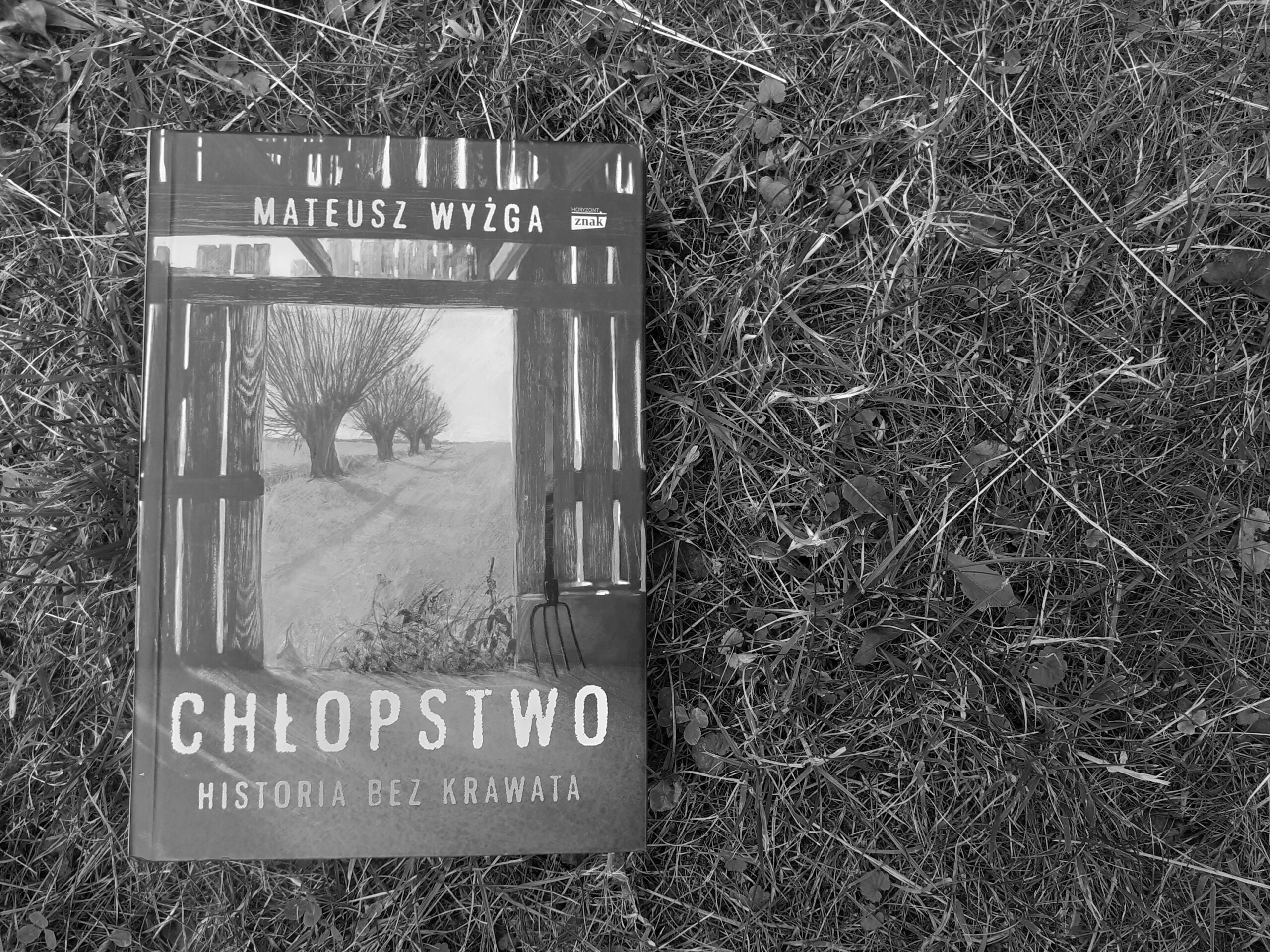 Recenzja książki: Mateusz Wyżga, Chłopstwo. Historia bez krawata